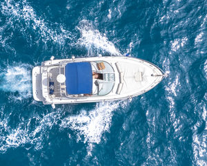 Sea Ray 295