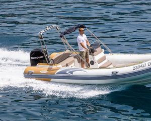 Predator 599