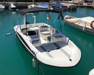 Bayliner Element 160