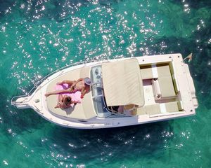 Proline 27