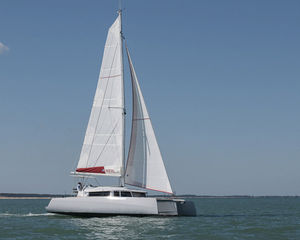 Neel 43