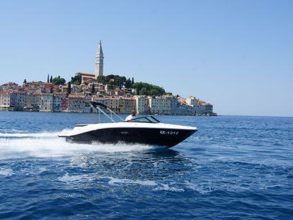 Motoscafo Sea Ray 21 SPX · 2024 · Black Diamond III. (0)