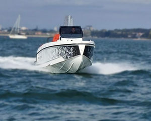 Adex 29