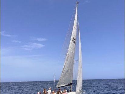Barca a vela Dehler 32 · 2016 (0)