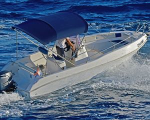 Blumax 550