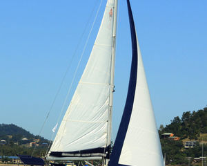Catalina 350