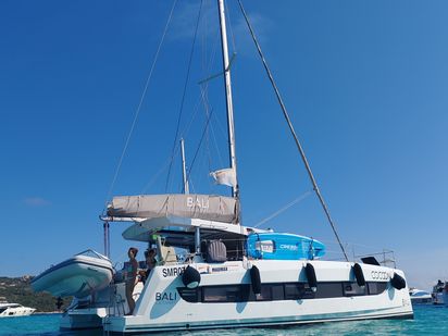Katamaran Bali Catsmart · 2024 · COCOON (1)