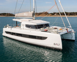 Bali Catsmart