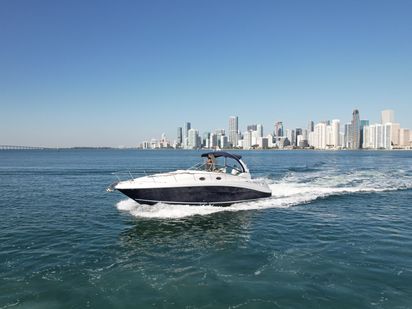 Motoryacht 40 Sea Ray Miami (1)