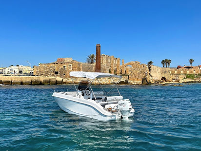 Trimarchi (1)