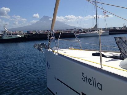 STELLA (1)
