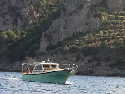 Motorboat Apreamare 9 Semi Cabin · 2015 (0)