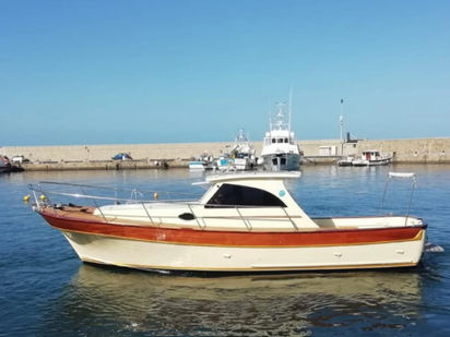 Motorboat Apreamare 9 Semi Cabin · 2015 · Milano Aprea "MARY" (1)