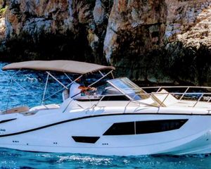 Quicksilver 875 Sundeck