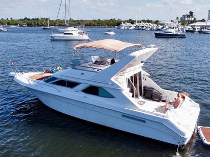 Motorboat Sea Ray Sea Ray 44 · 2001 (0)