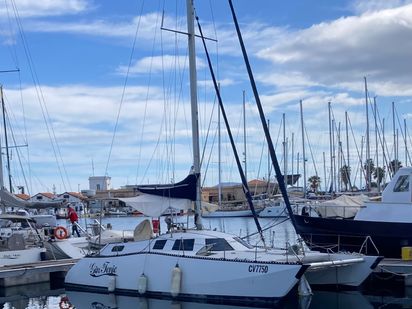 Catamaran Lady Hawke 37 · 1980 (refit 2022) · gin tonic (1)