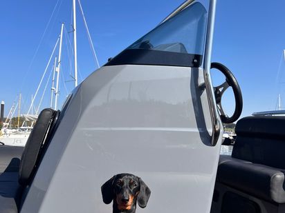 RIB Brig Eagle 6.7 · 2021 (0)