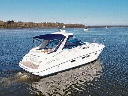 Bateau à moteur Sealine Sealine S38 · 2004 (0)