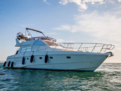 Barco a motore Cruisers 440 · 1993 (0)