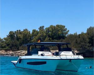 Tesoro T41 Power Cat