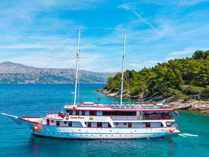 Motorboat Custom Motorsailer · 2016 (0)