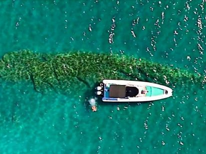 Matzios Luxury Cruises (1)