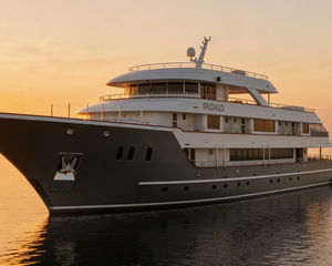 Cruisers 440