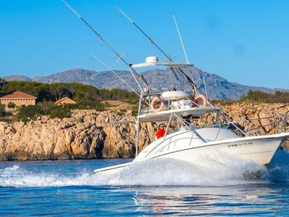 Barco a motor Pursuit Offshore 3000 · 2000 (0)