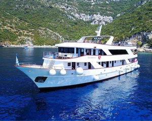 Cruisers 440