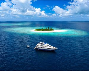 Cruisers 440
