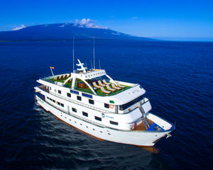 Cruisers 440