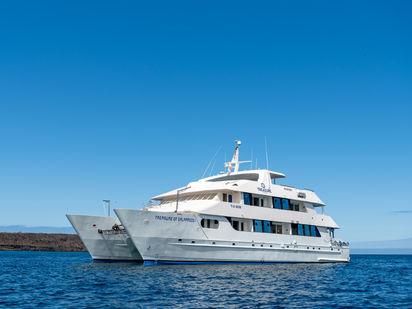Katamaran Custom Built · 2009 (0)