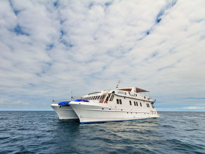 Katamaran Custom Built · 2003 (0)
