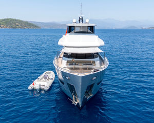Cruisers 440