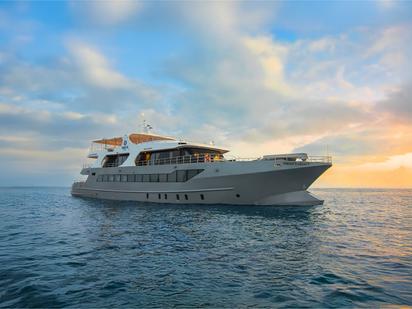 Motorboat Custom Built · 2008 (0)