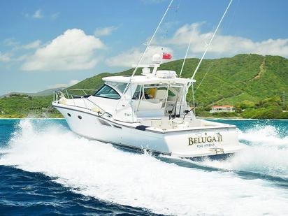 Beluga II (1)