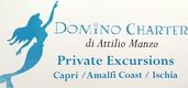 Domino Charter logo