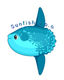 Sunfish d.o.o. logo