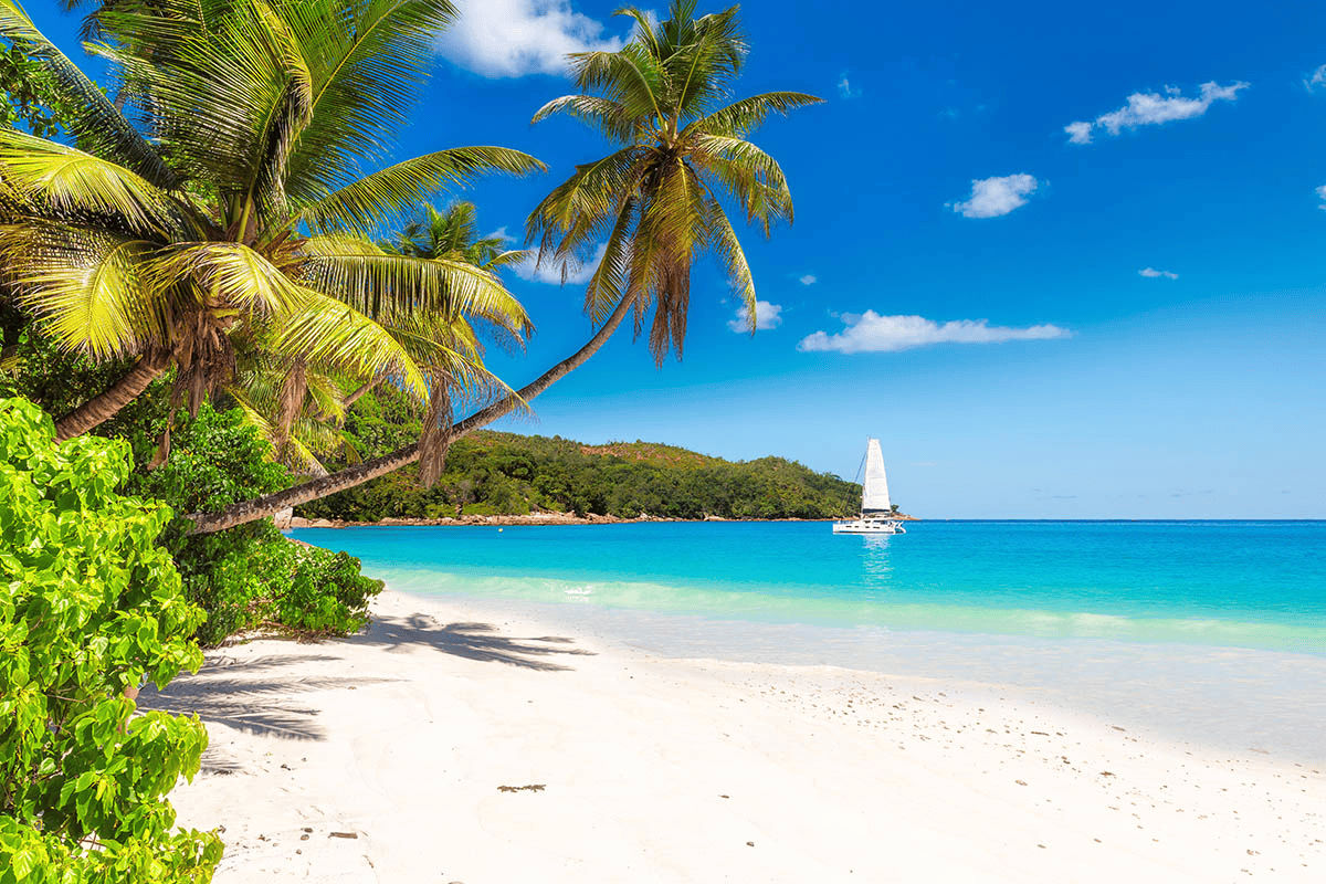 Boat rental and yacht charter in the Bahamas