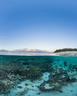 Underwater view of the Great Barrier Reef