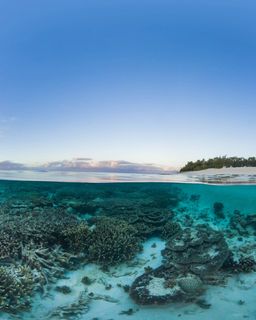 Underwater view of the Great Barrier Reef