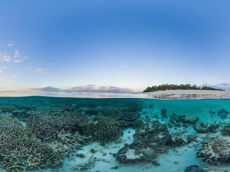 underwater shot of ocean floor