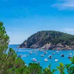 barcos anclados en una bahía aislada