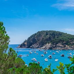 barcos anclados en una bahía aislada